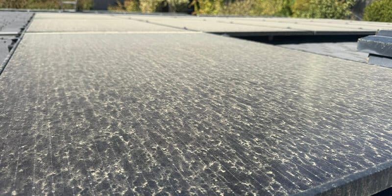 Solar Panel Cleaning